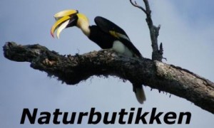Naturbutikken[1]